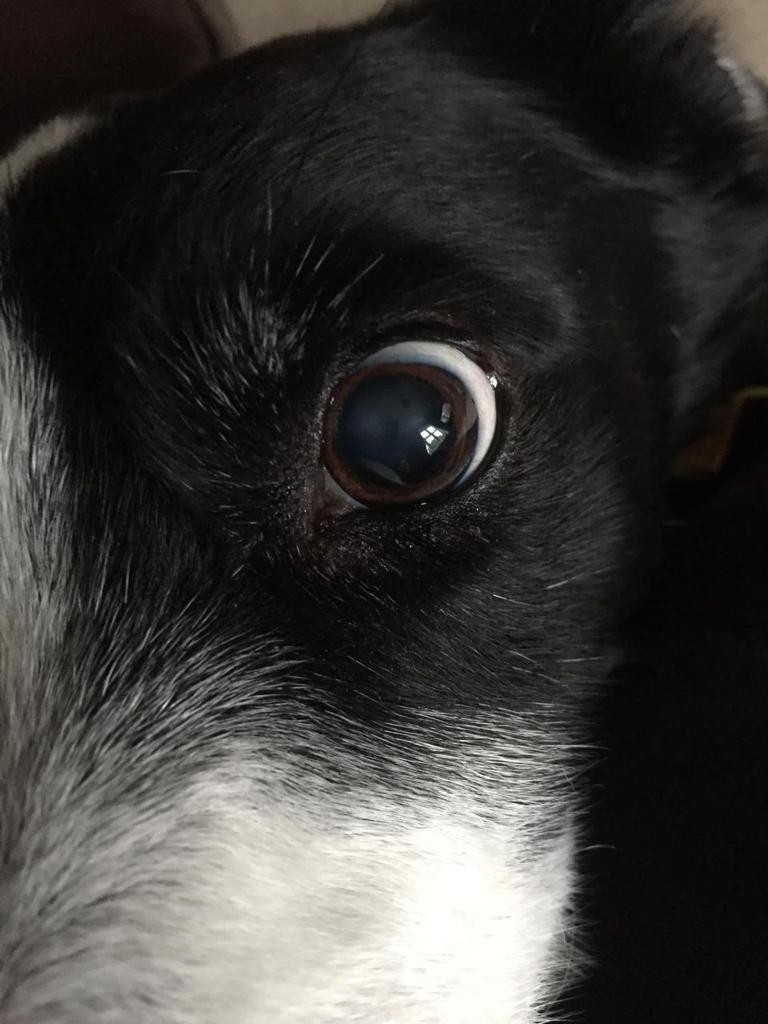Cataracts - Image 3