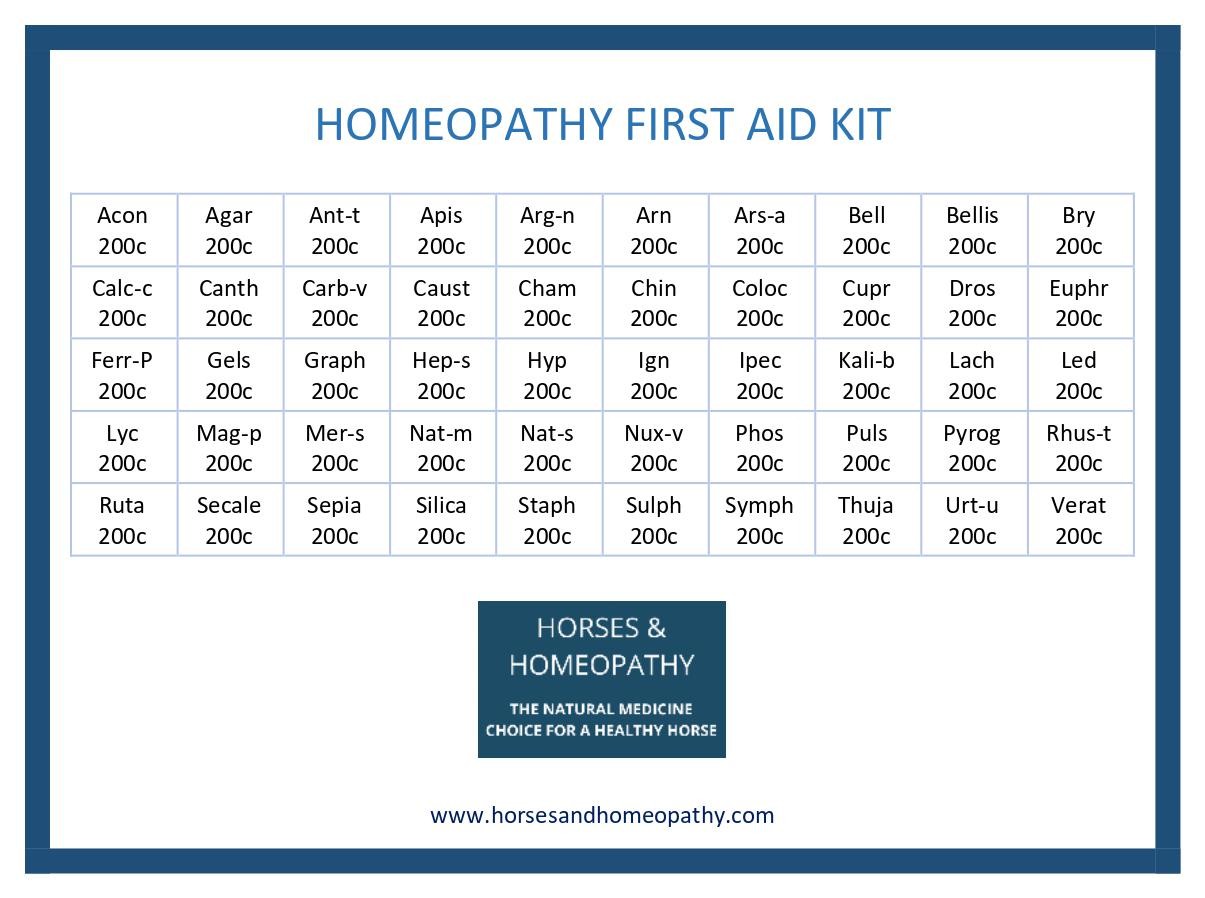 First Aid Kit for Horses - Image 2