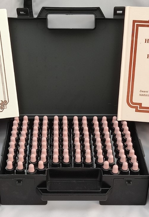 Intermediate Set - Create your own Narayani Top 100